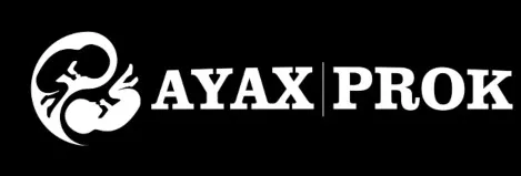 ayaxyprok.com